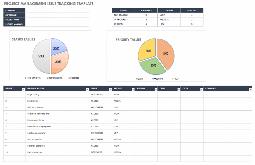 Project Management Issue Tracking