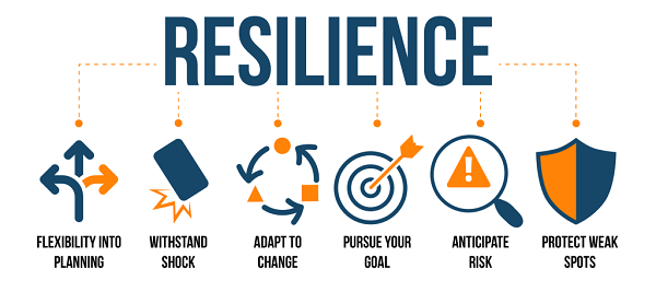 Resilience in Project Management